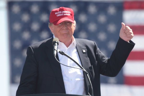 Donald Trump MAGA hat